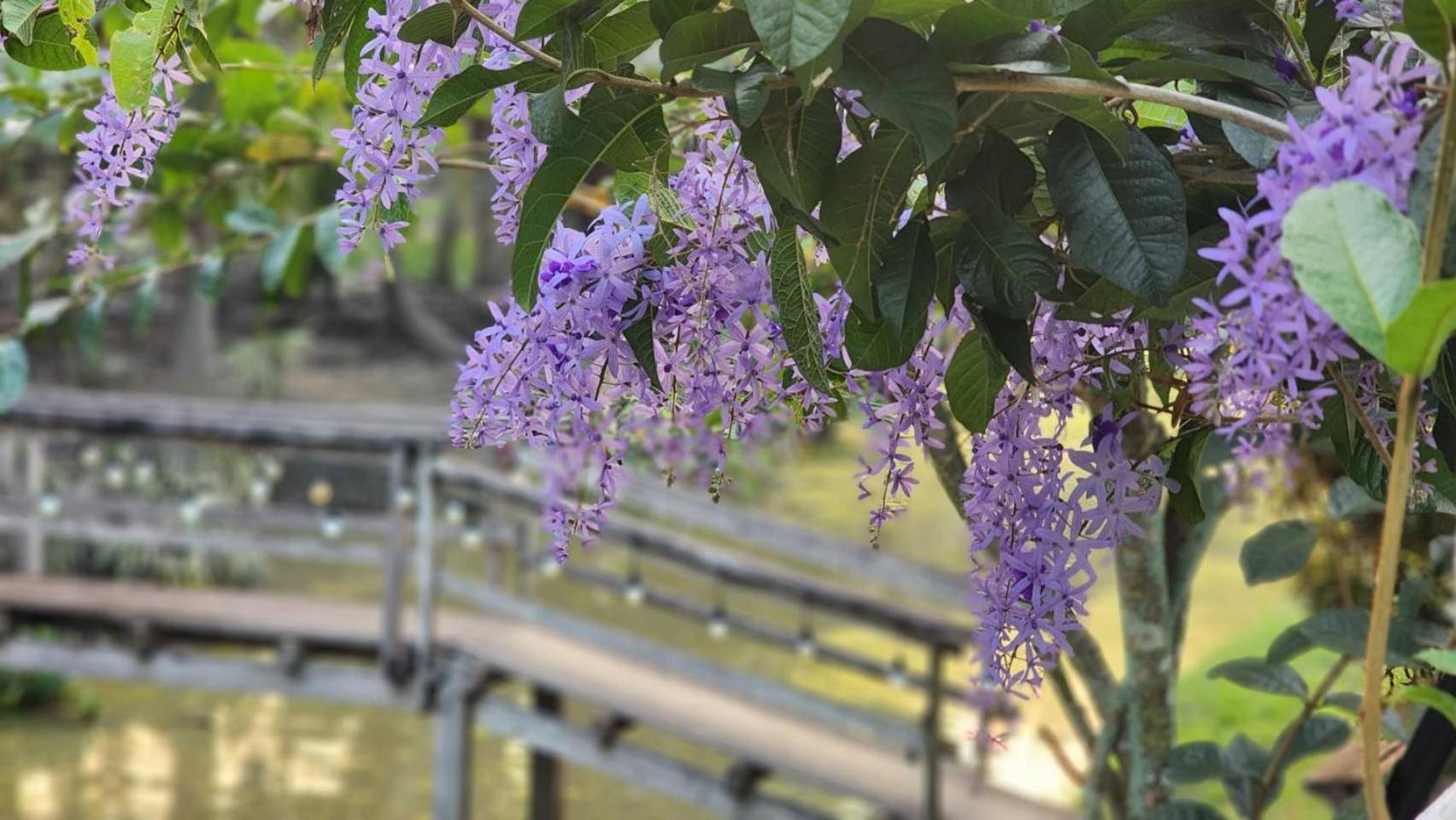 Baan Klong Resort Damnoen Saduak Esterno foto